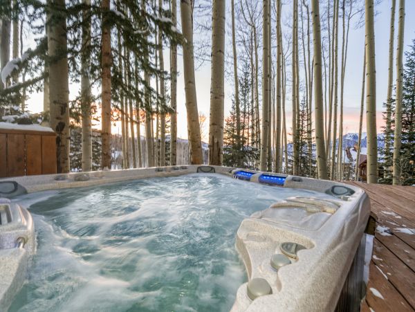 Telluride Home 1022076