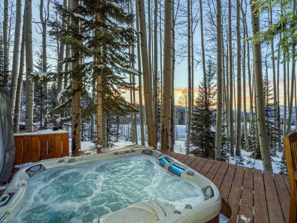 Telluride Home 1022076