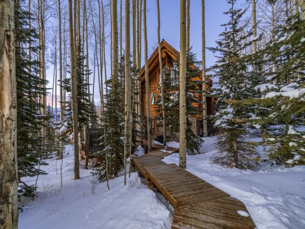 Telluride Home 1022076