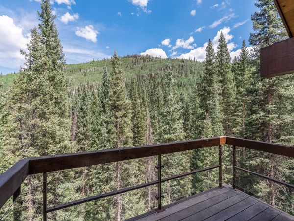 Telluride Home 1022078
