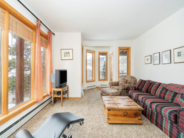 Telluride Home 1022079