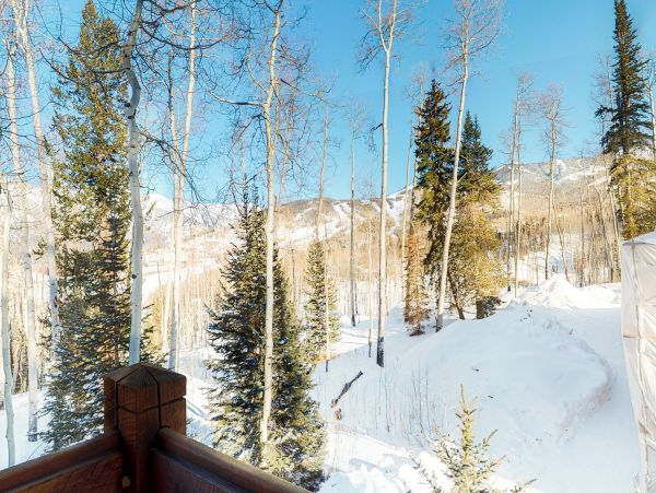 Telluride Home 1022084