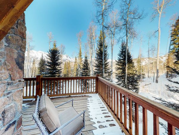 Telluride Home 1022084
