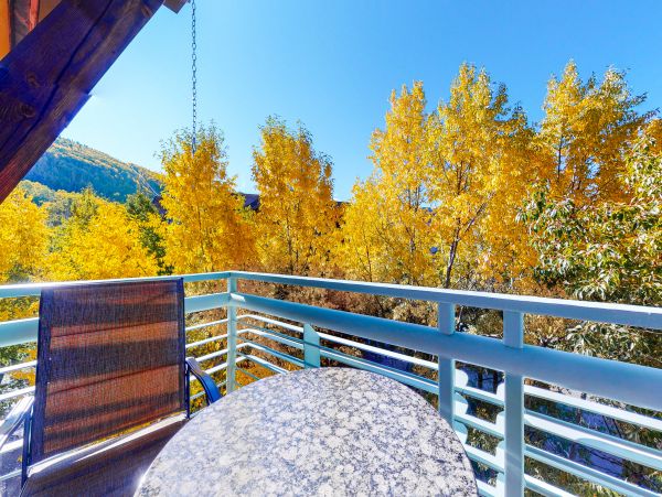 Telluride Home 1022100