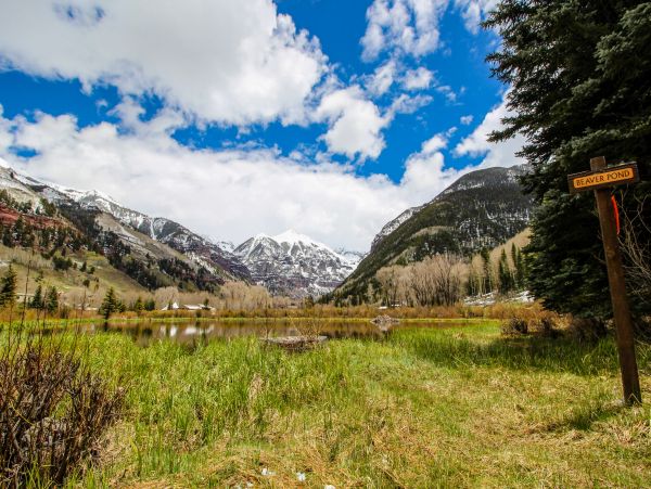 Telluride Home 1022101