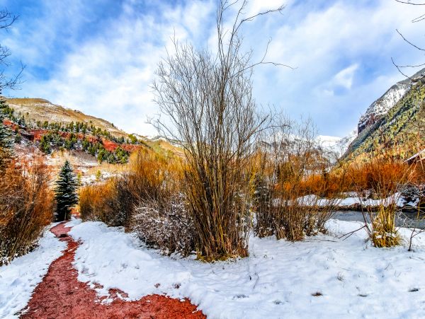Telluride Home 1022101