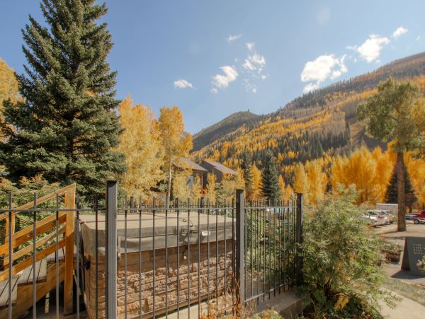 Telluride Home 1022115