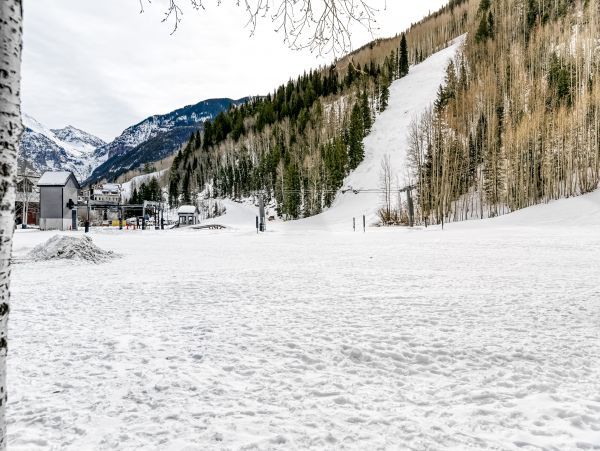 Telluride Home 1022116