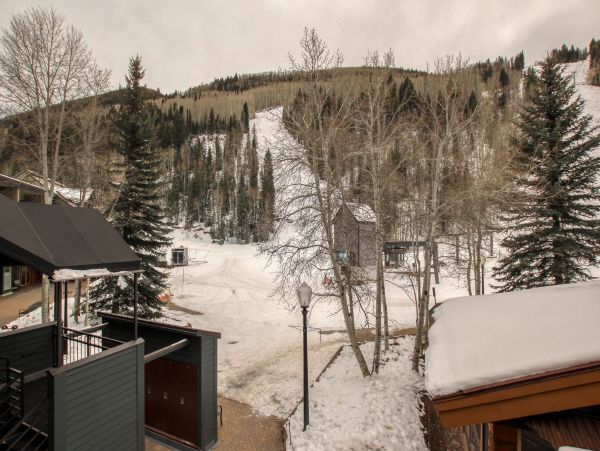 Telluride Home 1022116