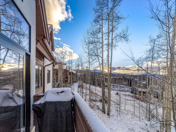 Telluride Home 1022120