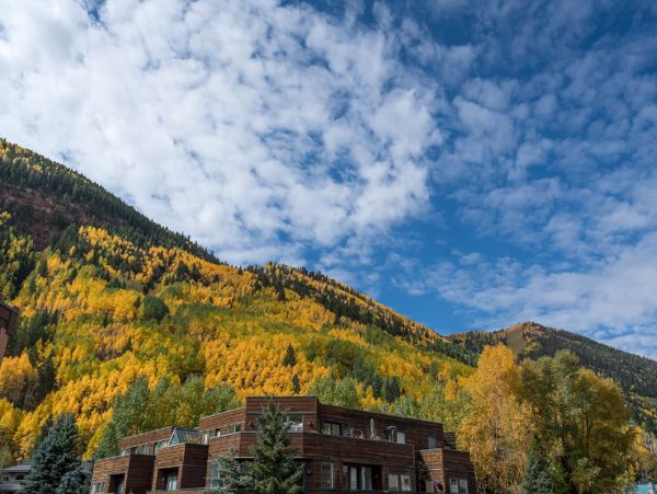 Telluride Home 1022127