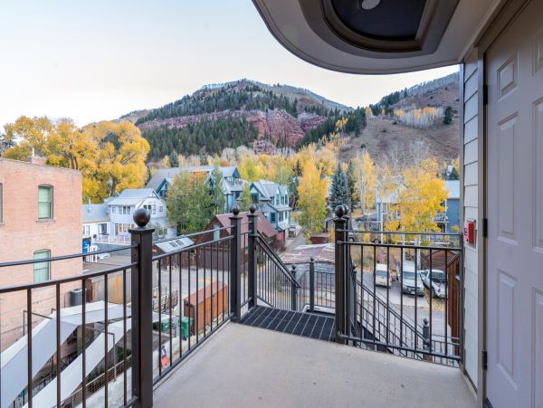 Telluride Home 1022148