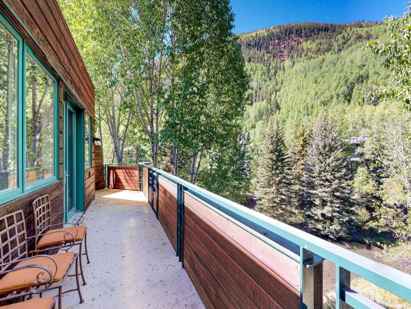 Telluride Home 1022149