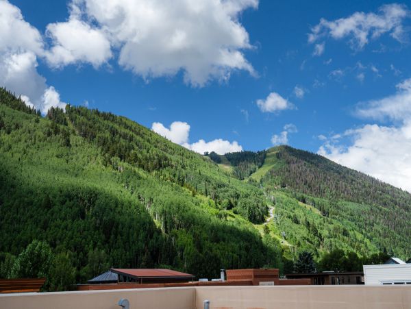 Telluride Home 1022151