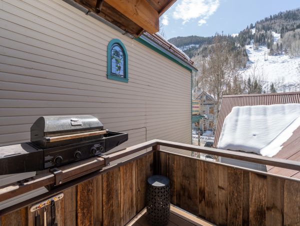 Telluride Home 1022157