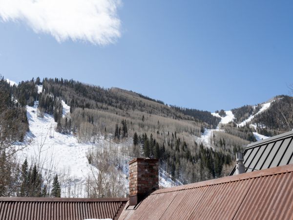 Telluride Home 1022157
