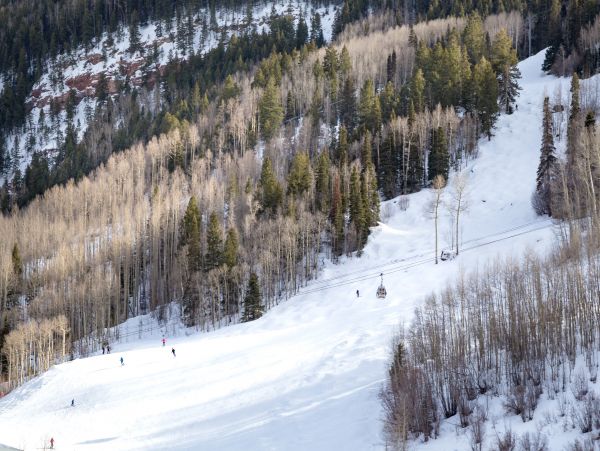 Telluride Home 1022160