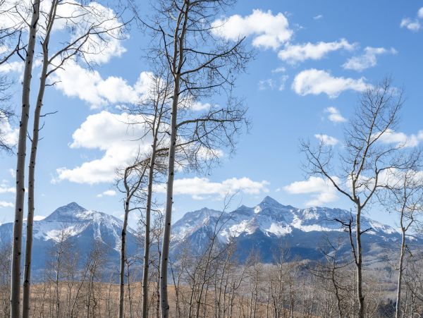 Telluride Home 1022161