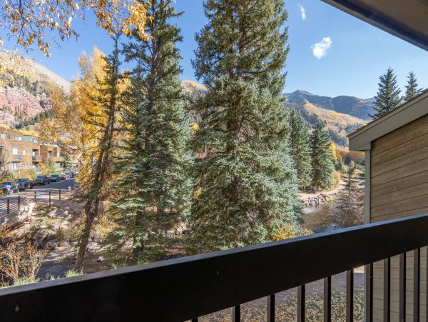 Telluride Home 1022162