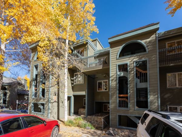 Telluride Home 1022162