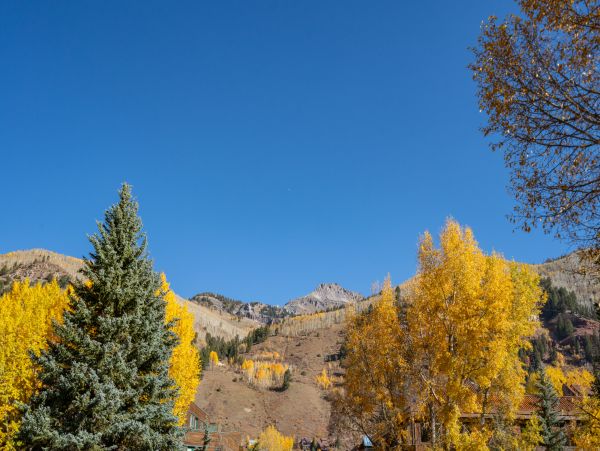 Telluride Home 1022162