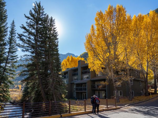 Telluride Home 1022162