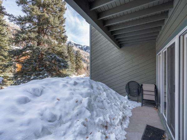 Telluride Home 1022163