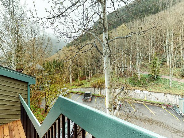 Telluride Home 1022164