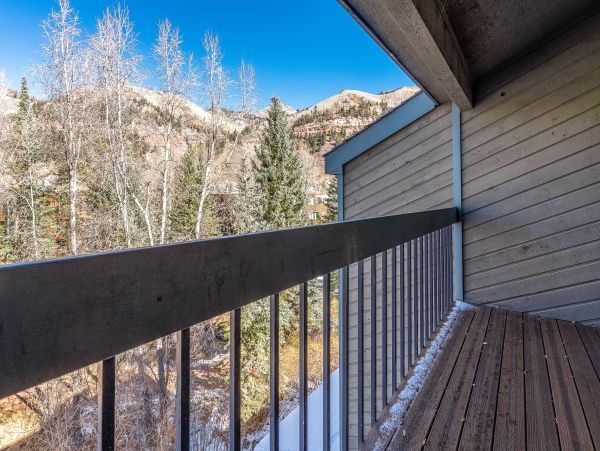 Telluride Home 1022167