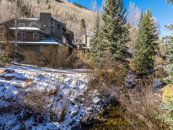 Telluride Home 1022167