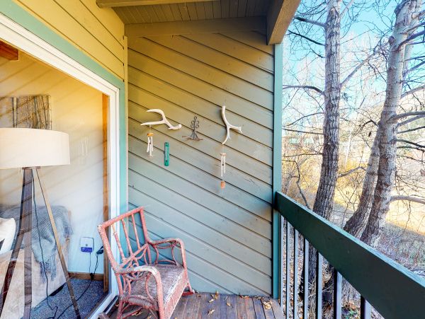 Telluride Home 1022169