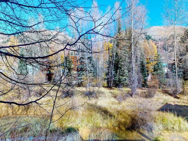 Telluride Home 1022169