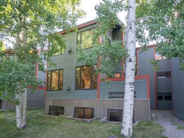 Telluride Home 1022174