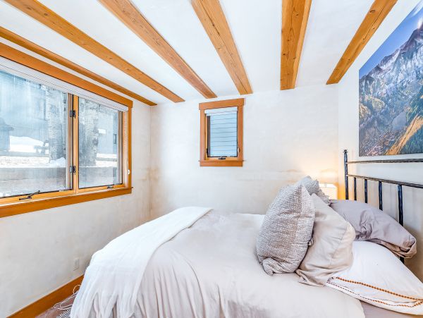 Telluride Home 1022176
