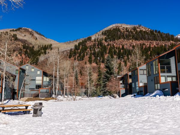Telluride Home 1022177