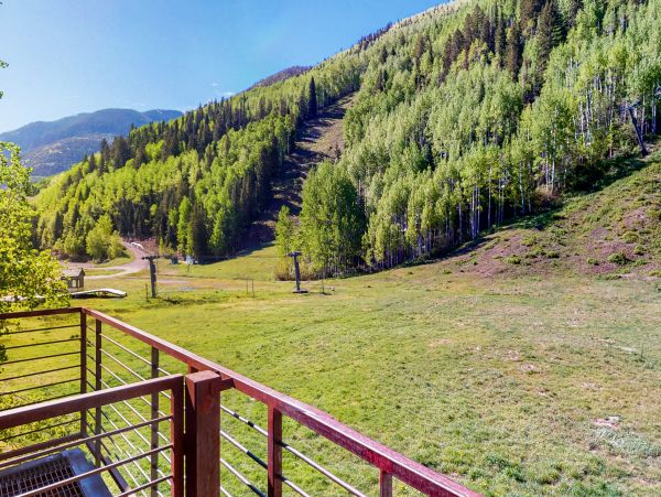 Telluride Home 1022181