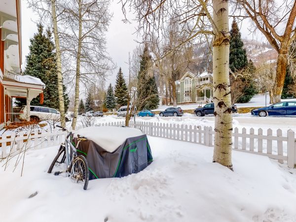 Telluride Home 1022184