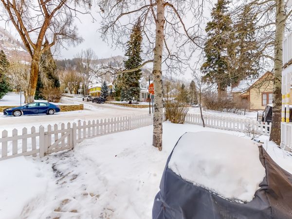 Telluride Home 1022184