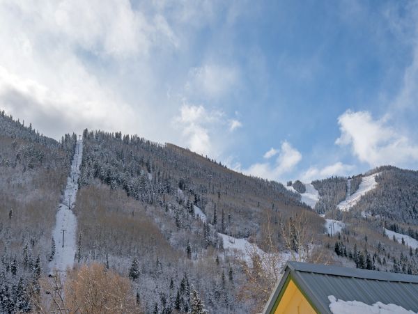 Telluride Home 1022186