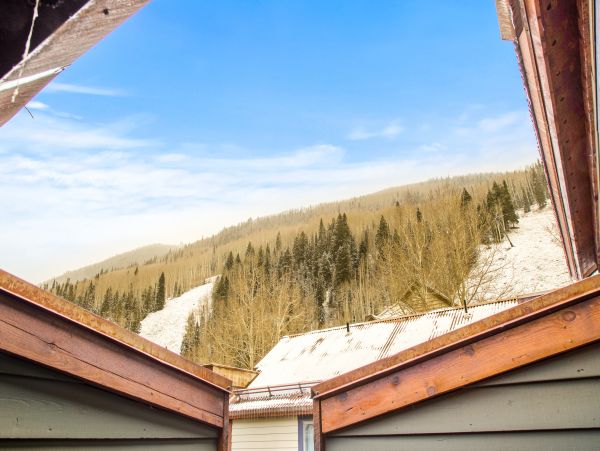 Telluride Home 1022188