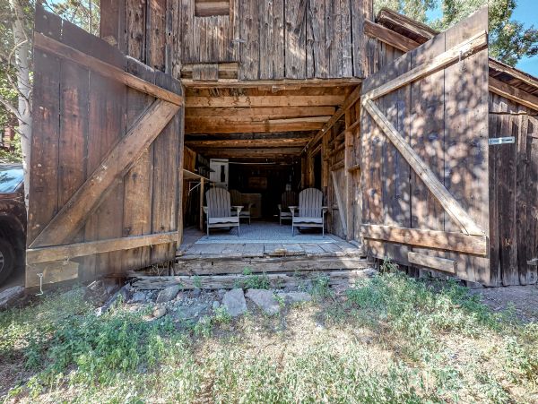 Telluride Home 1022189