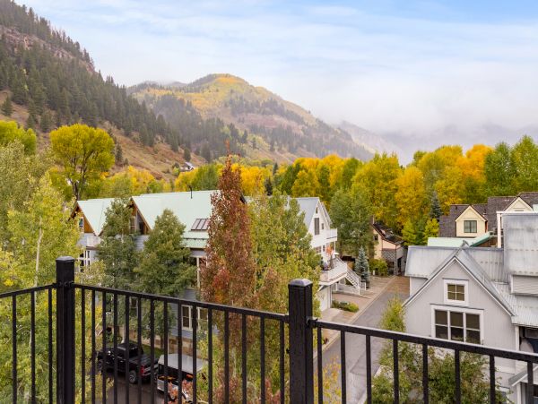 Telluride Home 1022191