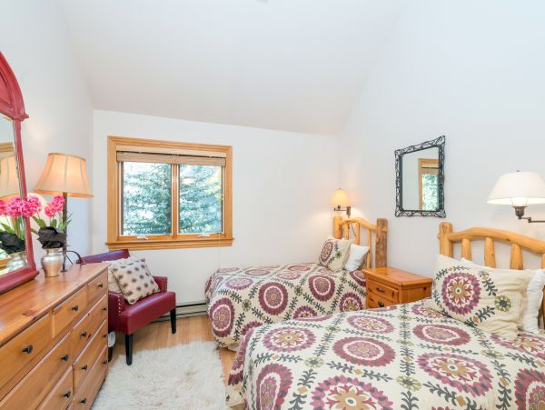 Telluride Home 1022192