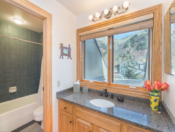 Telluride Home 1022192