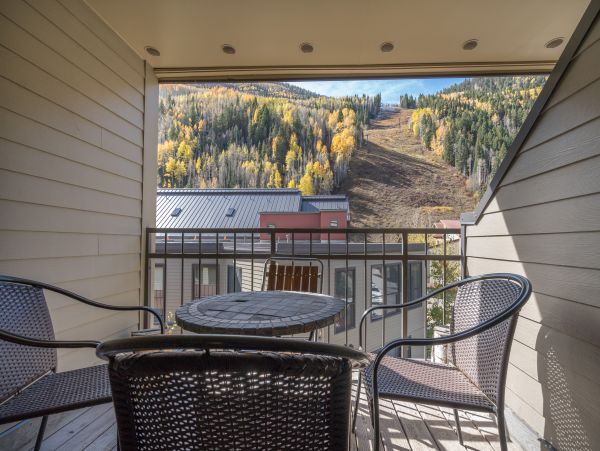 Telluride Home 1022192