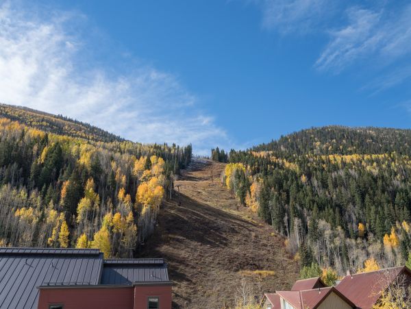 Telluride Home 1022192
