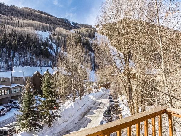 Telluride Home 1022193