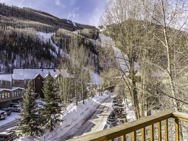 Telluride Home 1022193
