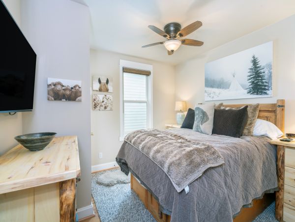 Telluride Home 1022194