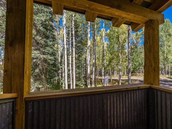 Telluride Home 1022196